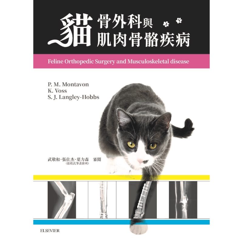貓骨外科與肌肉骨骼疾病