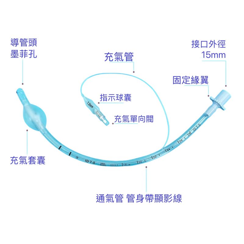 氣管內管/插管-氣囊Cuff