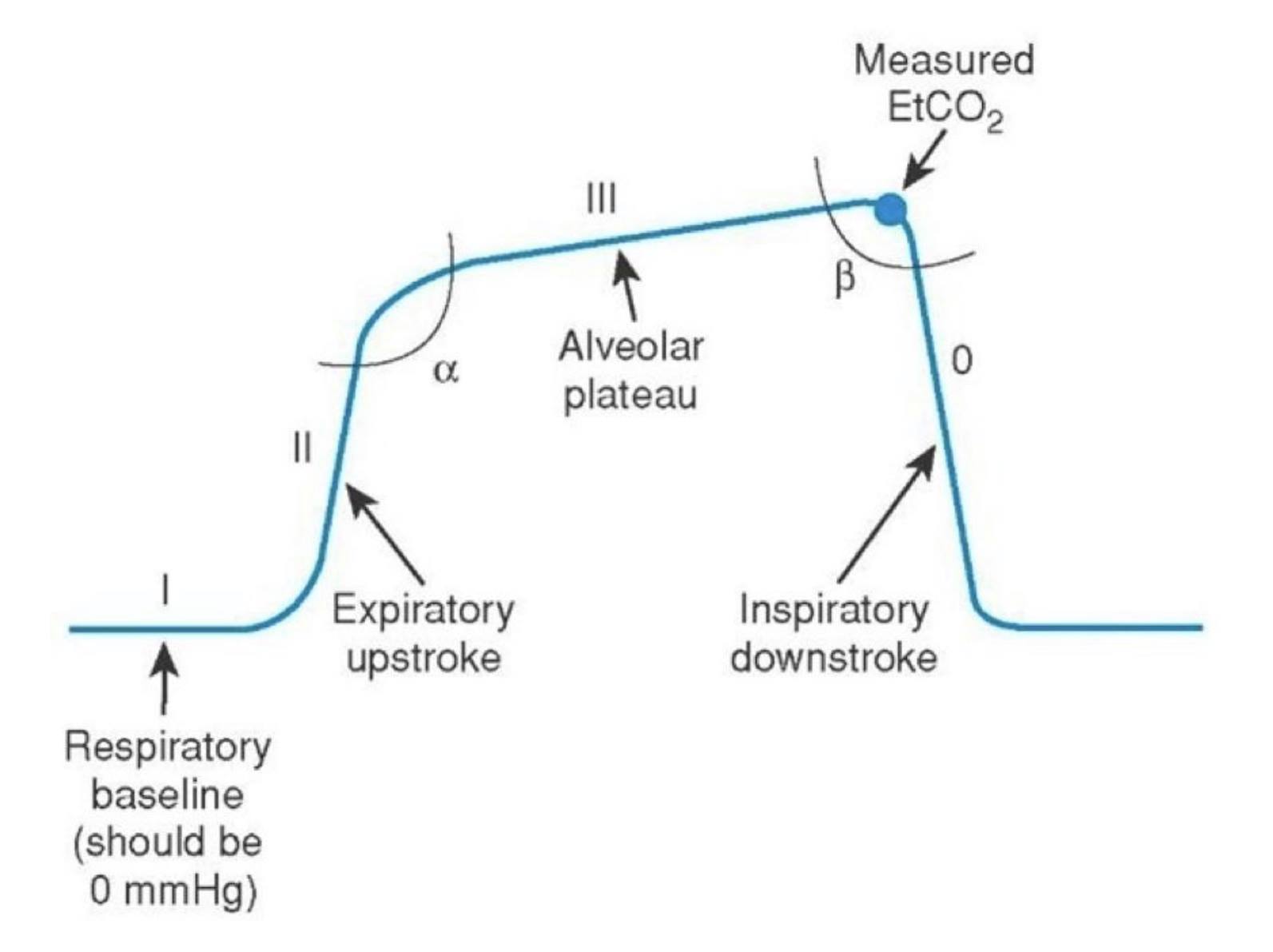 寵物呼末二氧化碳EtCO2監測器 &配件