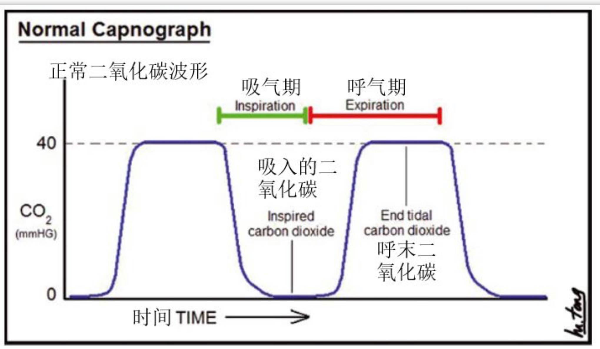 寵物呼末二氧化碳EtCO2監測器 &配件