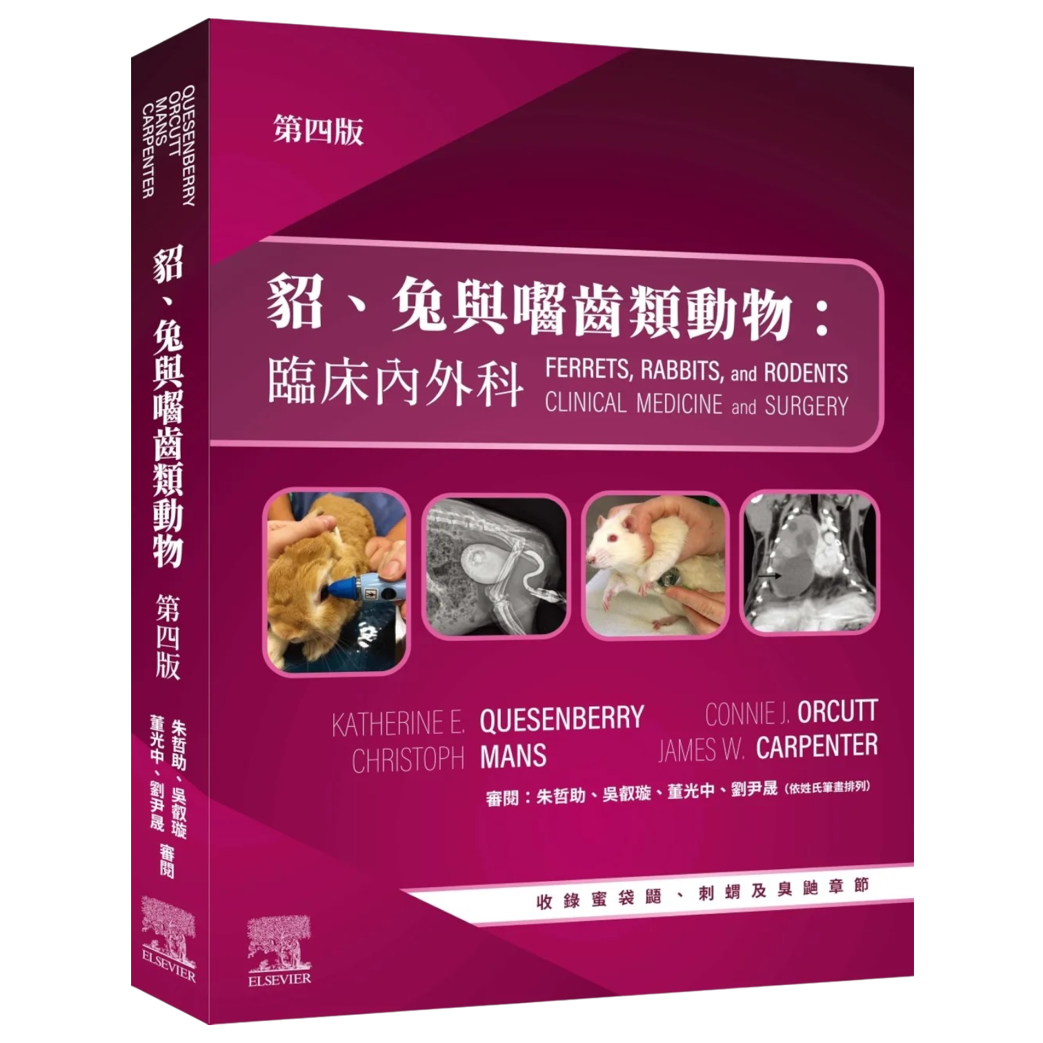 貂、兔及囓齒類動物:臨床內外科，第四版| AMI艾米-Integrity